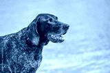 preview cold