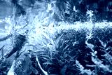 preview cold