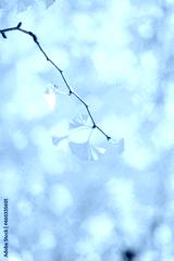 preview cold