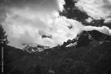 preview bw