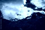 preview cold