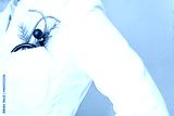 preview cold