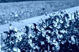 preview cold
