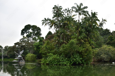 image to crop