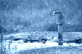 preview cold