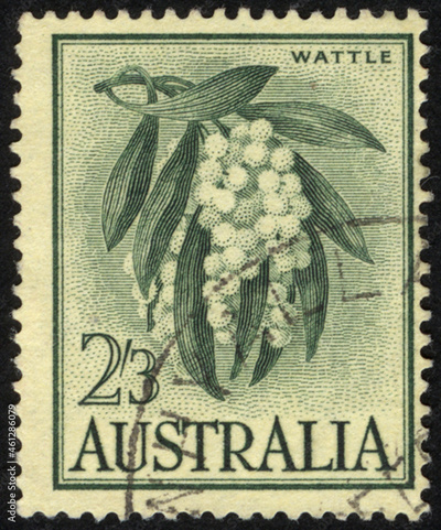 image to crop