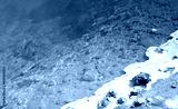 preview cold