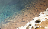 preview original
