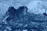 preview cold