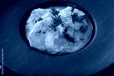 preview cold