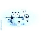preview cold