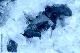 preview cold