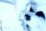 preview cold
