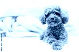 preview cold