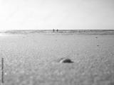 preview bw