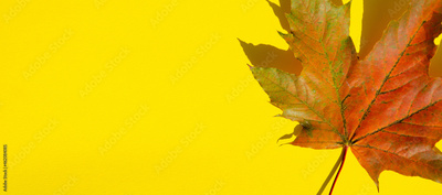 image to crop