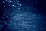 preview cold