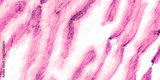 preview original