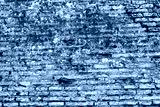 preview cold