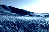 preview cold