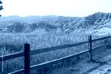 preview cold
