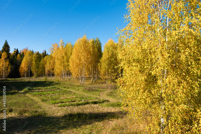 image to crop