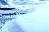 preview cold