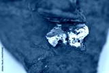 preview cold
