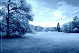 preview cold