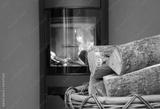 preview bw