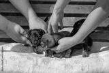 preview bw