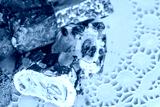 preview cold