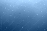 preview cold