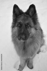 preview bw