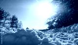 preview cold