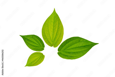 image to crop