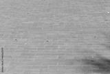 preview bw