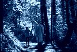 preview cold