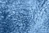 preview cold