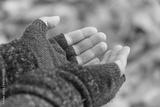 preview bw