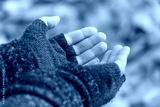preview cold