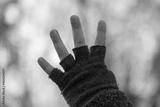preview bw