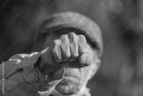 preview bw