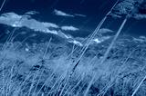 preview cold