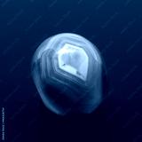 preview cold