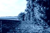 preview cold