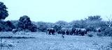 preview cold