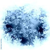 preview cold