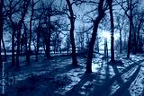 preview cold