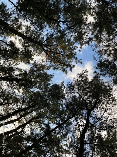 image to crop